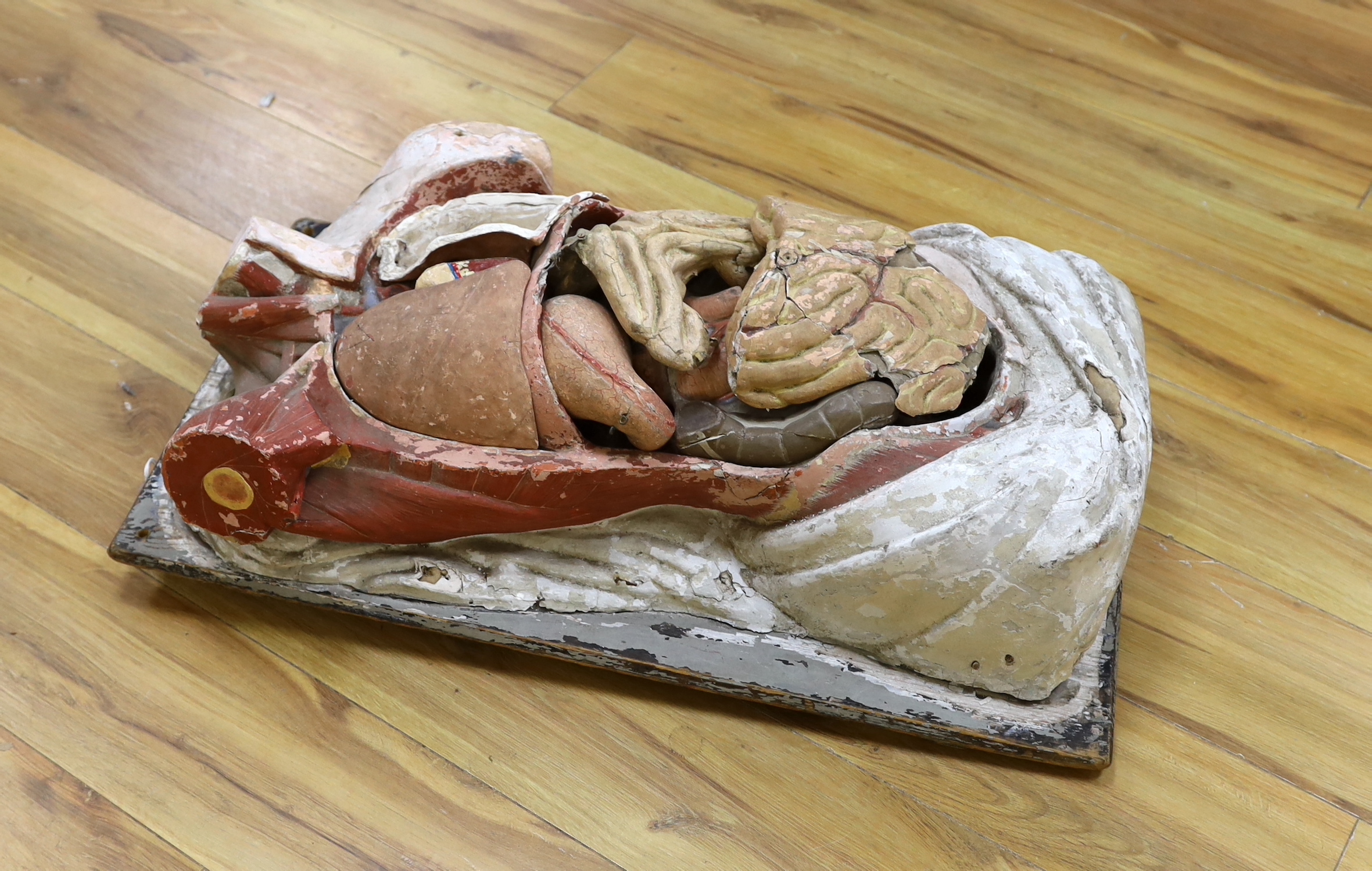 A 19th century papier mache hand-painted anatomical model of the human torso, 74cm high